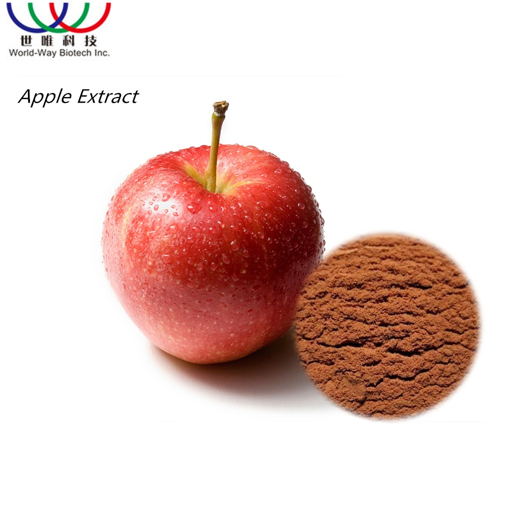 Manufacturer Wholesale Healthy Organic Food Grade High-Purity Apple Extract Powder