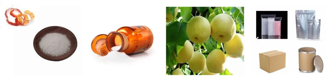 High Quality Phloretin Manufacturer Supply Skin Whitening Apple Peel Extract Phloridzin Phloretin