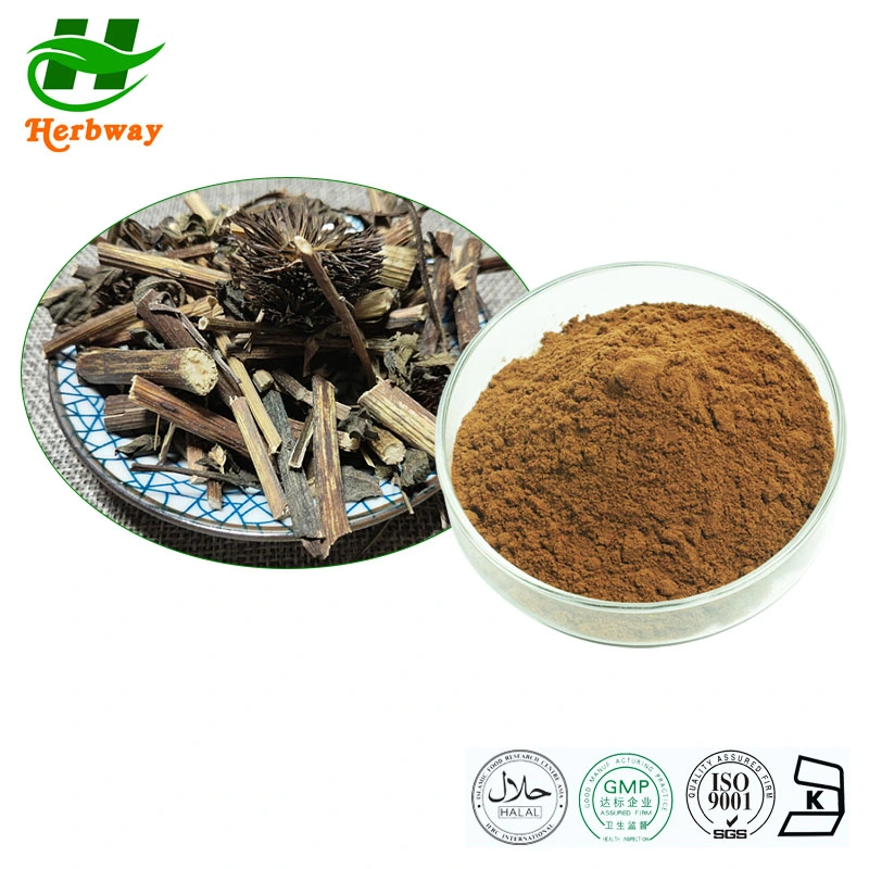 Herbway Factory Direct Sale 0.8% Echinacosides Natural Herbal Plant Extract Echinacea Purpurea Extract