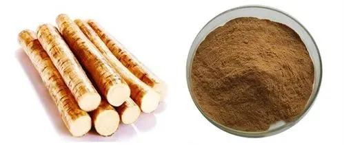 E. K Herb Natural Burdock Root Extract Arctiin Vine Tea Extract Schisandra Chinensis Extract