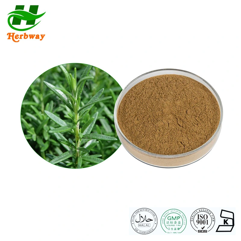 Herbway Kosher Halal Fssc HACCP Certified Rosmarinus Officinalis L. Botanical Extract Carnosic Acid Rosemary Extract