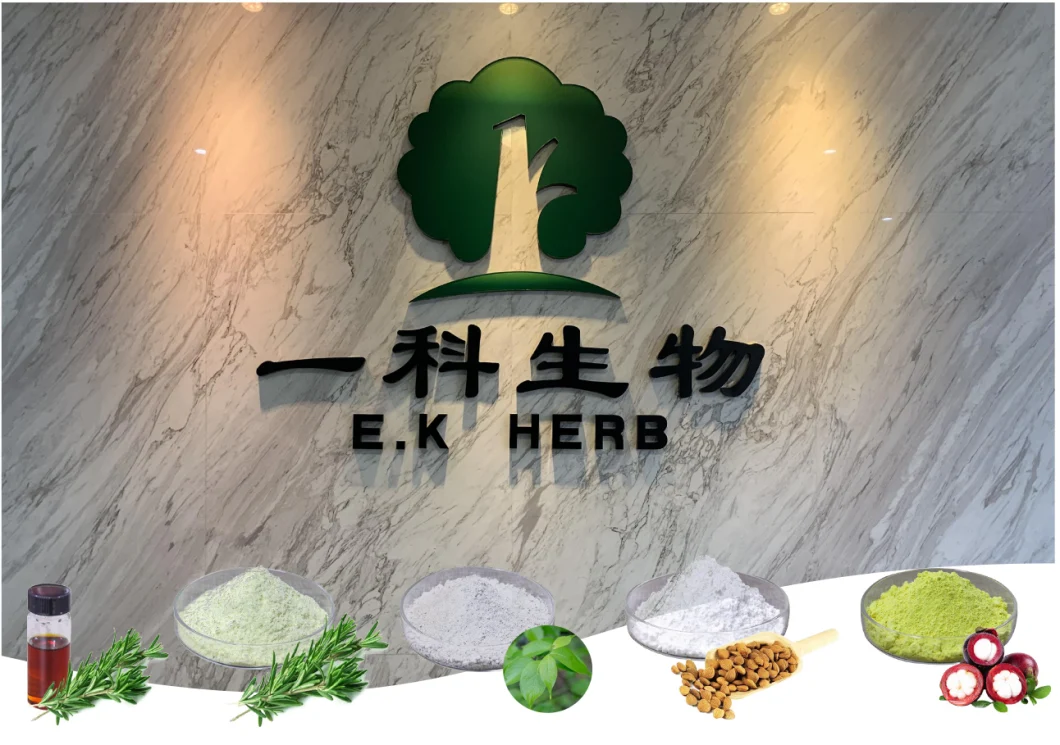 E. K Herb Wholesale Orgainc 100% Natural Emodin 98% CAS 518-82-1 Polygonum Cuspidatum Extract