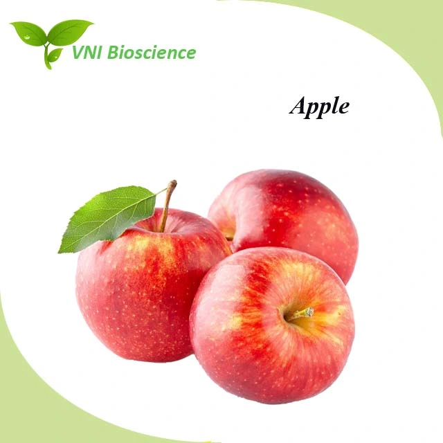 Kosher Halal Certified 100% Natural Phlorizin Powder Apple Extract