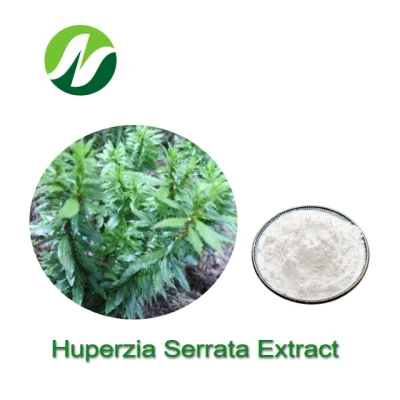 Hoher Standard 1 %–99 % Huperzin und Huperizia Serrata-Extrakt