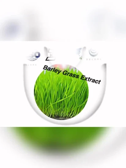 cGMP Factory Supply Weintee-Extrakt Dhm 98 % Dihydromyricetin