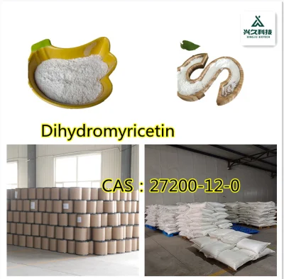 Liefern Sie Weintee-Extrakt Dihydromyricetin 98 % CAS 27200-12-0